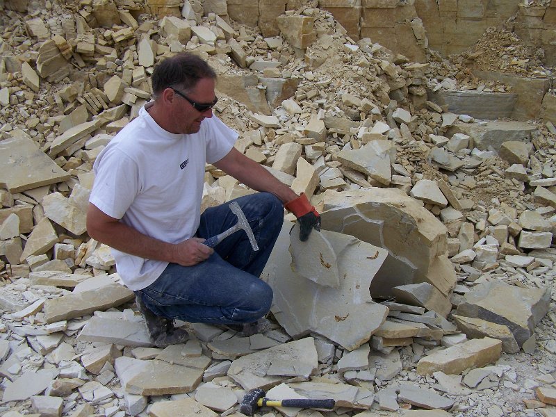 Field Trips/2009 Montana Utah Field Trip/No 69 Warfield Fossils
